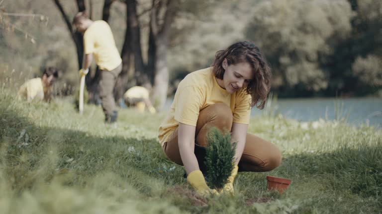 Best Root Management and Removal  in Driggs, ID